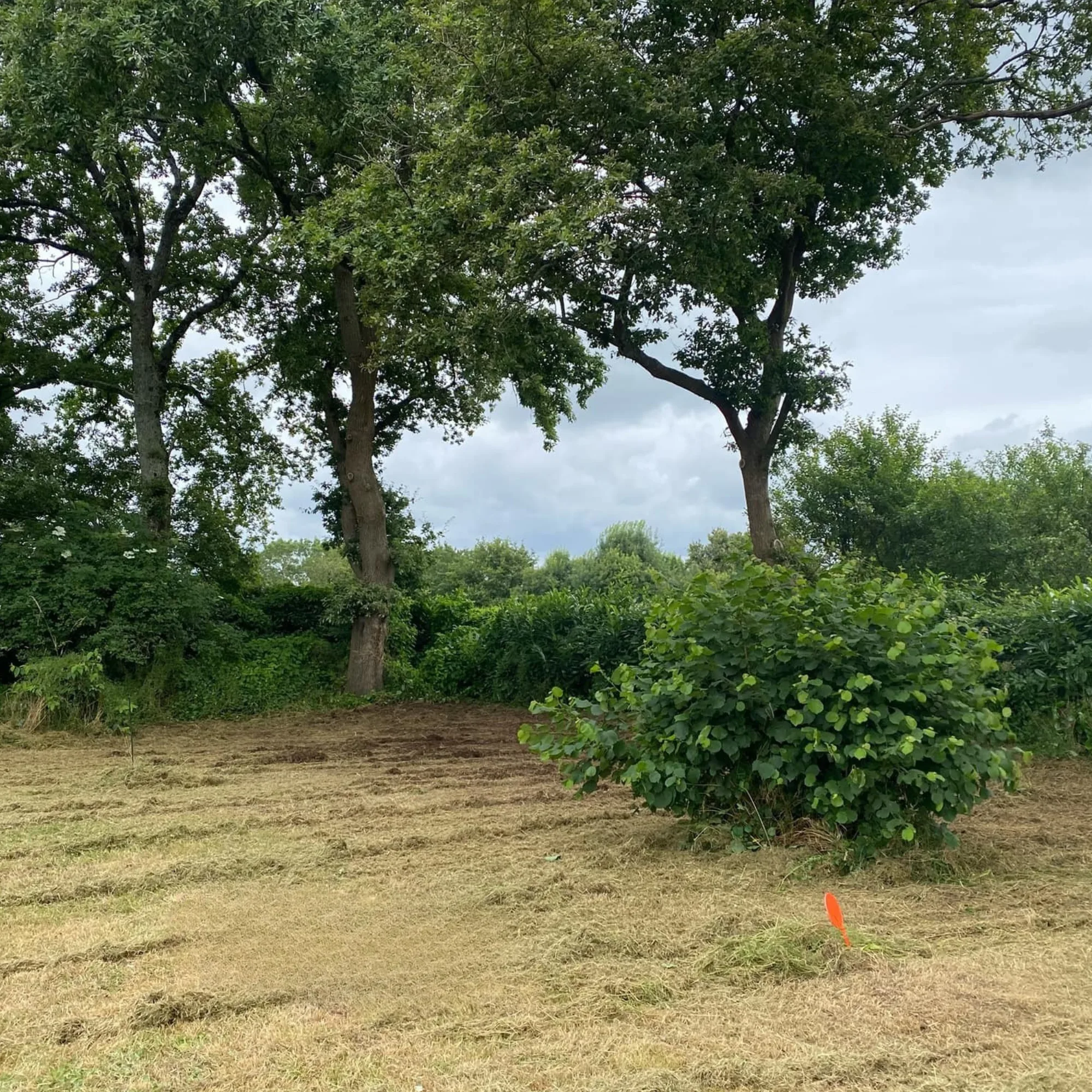 Débroussaillage de terrain envahi en Loire-Atlantique